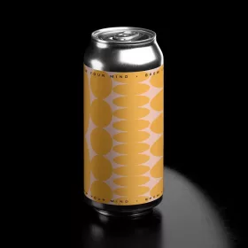 Brew Your Mind Fruit Works Apricot - 5,7% 0,44l