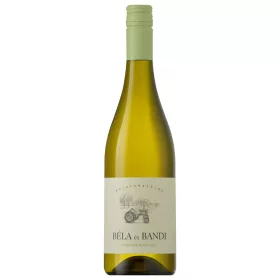 Béla és Bandi Sauvignon Blanc 2024 0,75l 13%