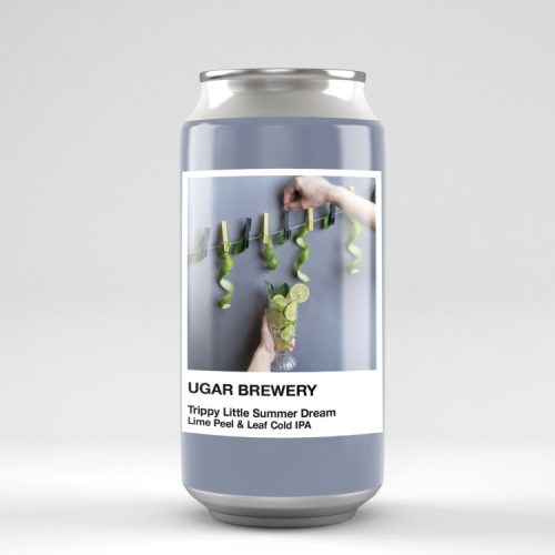 Ugar Brewery SPECTRUM – Trippy Little Summer Dream 0,5l 4,9%