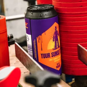 Mad Scientist Your Sunset Lover 0,44l 6%