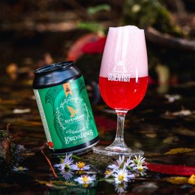 Mad Scientist - Lord Of the Rings - Elvenberry 0,33l 2,5%