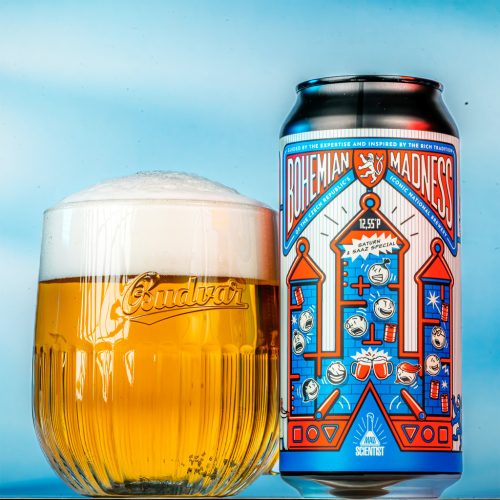 Mad Scientist Bohemian Madness 0,44l 4,9%