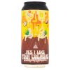 Mad Scientist Yes I Like Piña Coladas 0,44l 5,5%