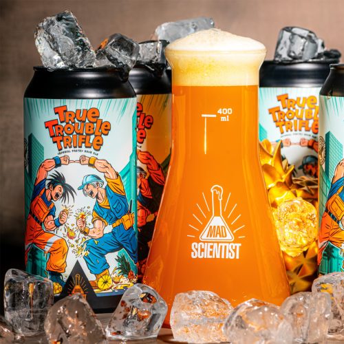 Mad Scientist True Trouble Trifle 0,44l 9,5%
