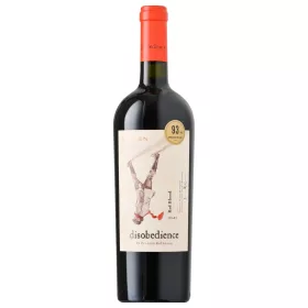 Kaiken Disobedience by Francis Mallmann 2020 0,75l 14,5%
