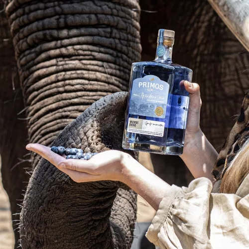 Primos Gin Árándano (Blueberry) 0,7L 43%