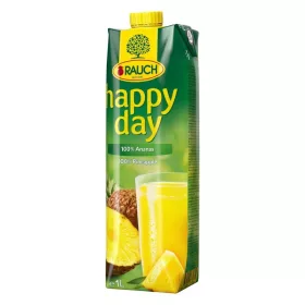 RAUCH Happy Day Ananász 100% 1l 