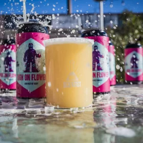Mad Scientist X Cloudwater High On Flower 0,44l 8%