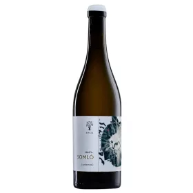 Barcza Pince Nagy-Somlói Blankó 2021 0,75l 13%