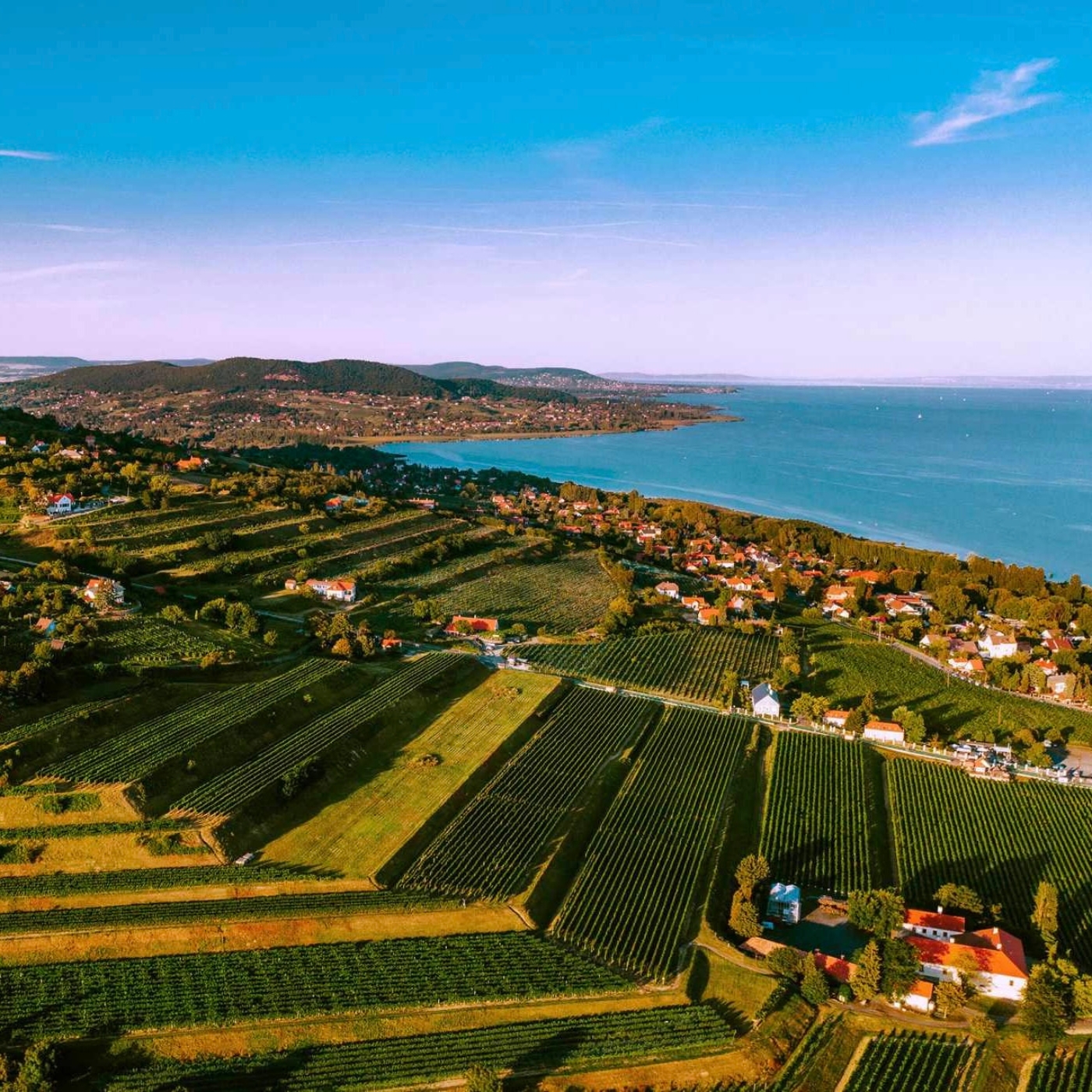 Magyarország legismertebb bortermesztő területei